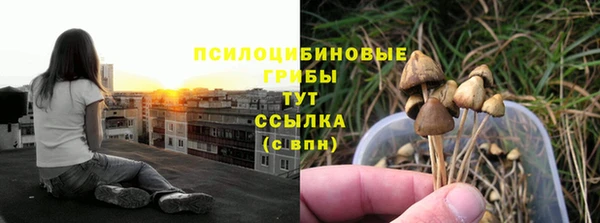 дмт Алзамай
